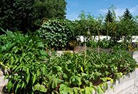 Resident garden